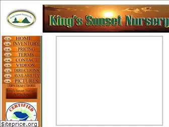 kingssunsetnursery.com