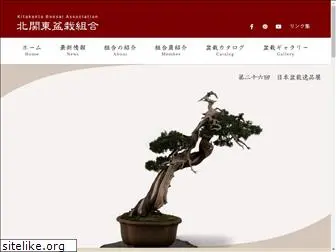 kitakanto-bonsai.com