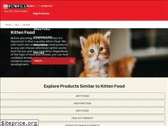 kitten.com