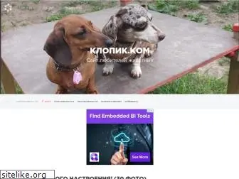 klopik.com