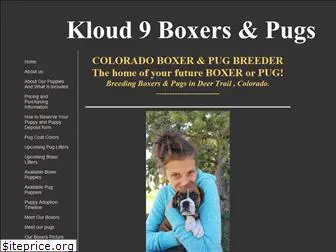 kloud9boxers.com