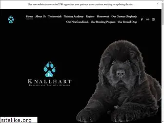 knallhartacademy.com