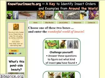 knowyourinsects.org