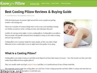 knowyourpillow.com