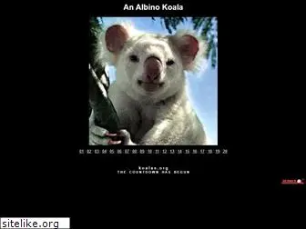 koalas.org