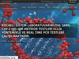 kocaelisistemlab.com