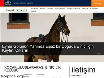 kocakbinicilik.com