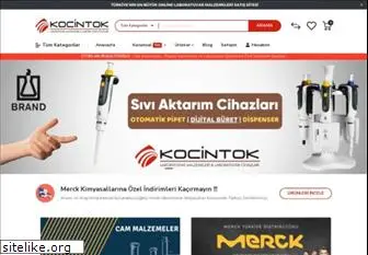 kocintok.com.tr