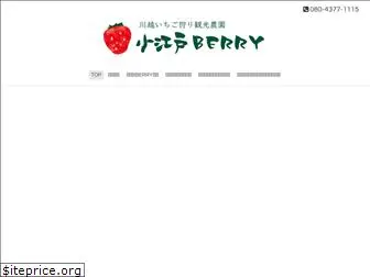 koedoberry.com