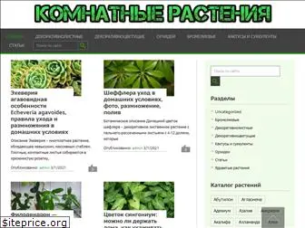 komnatnue-rastenija.com