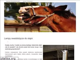 konie.info.pl