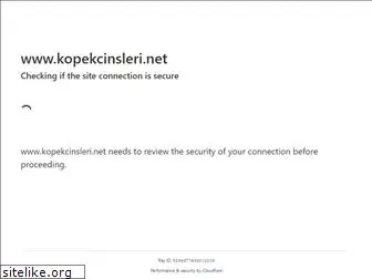 kopekcinsleri.net