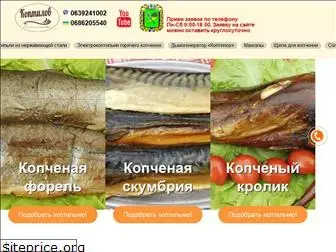 koptilov.com