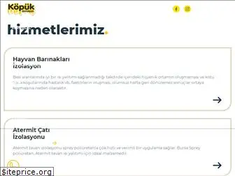 kopukizolasyon.com