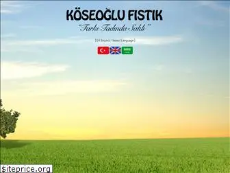 koseoglufistik.com