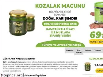 kozalakmacunuturkiye.com