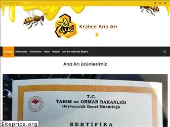 kraliceanaari.com