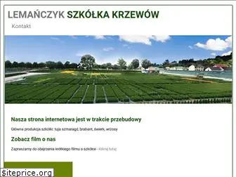 krzewy-lemanczyk.pl
