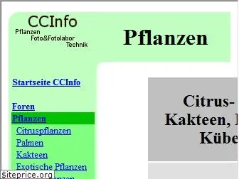 kuebelpflanzeninfo.de