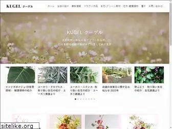 kugel-shop.com