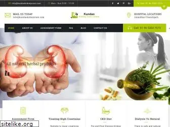 kundankidneycare.com