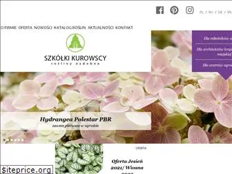 kurowski.pl