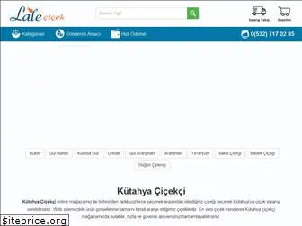 kutahyacicekci.com