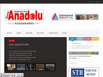 kuzeyanadolu.net