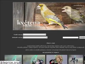 kvetena.com