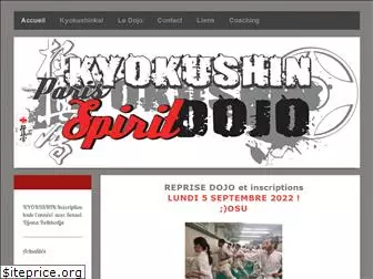 kyokushin-paris.com
