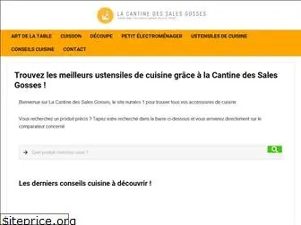 la-cantine-des-sales-gosses.com
