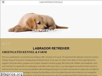 labpuppy.company.com