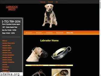labrador-breed.com