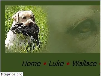 labrador-luke.de