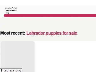 labrador-owners.co.uk