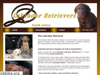 labrador-retrievers.co.za