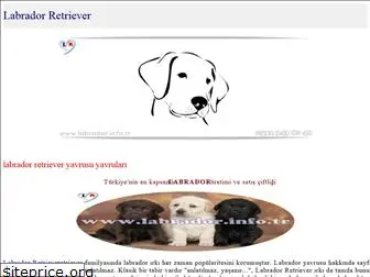 labrador.info.tr