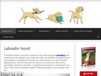 labradorhond.nl