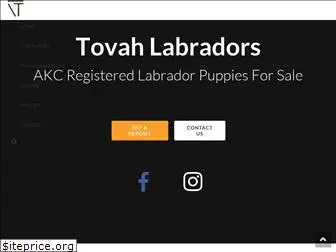 labradorpuppiesforsale.net