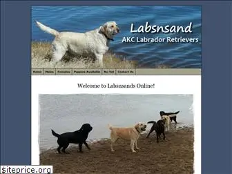 labsnsand.com