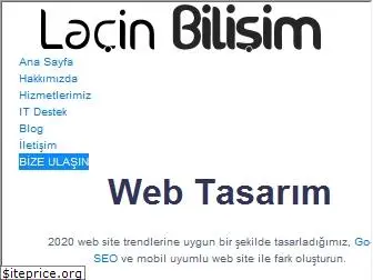 lacinbilisim.com