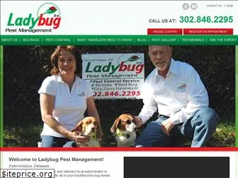 ladybugpm.com