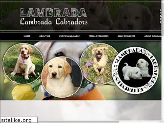 lambrada.co.za