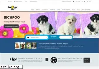 lancasterpuppies.com