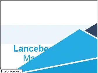 lancebee.com