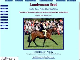 landemann.com