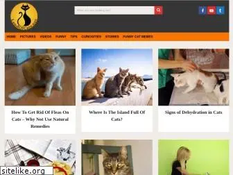 landofcats.net