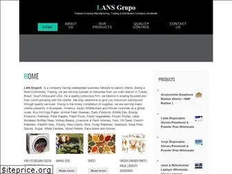 lansgrupo.com