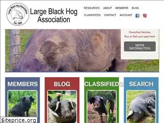 largeblackhogassociation.org