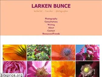 larkenbunce.com
